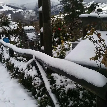 Rurales Tia Vicenta *