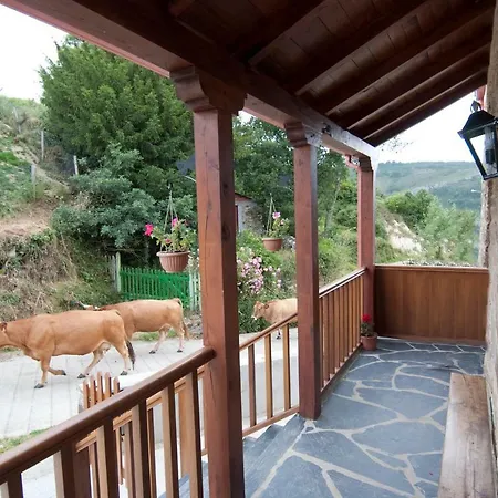 Rurales Tia Vicenta Santa Eulalia de Oscos