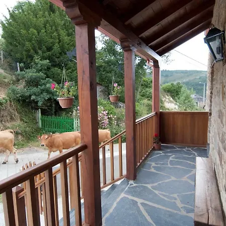 Apartament Rurales Tia Vicenta *